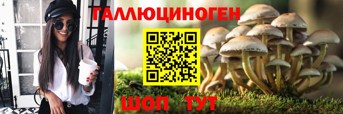 Галлюциногенные грибы мицелий  Вход с VPN  Галлюциногенные грибы мицелий  Строитель 